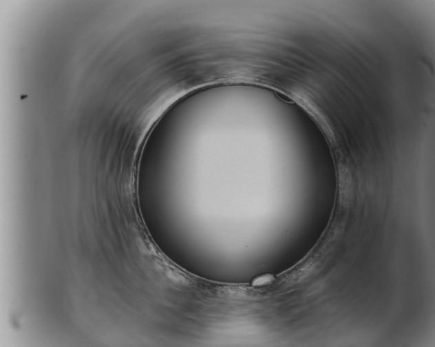 X0000103230956200809041022