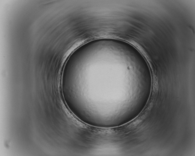 X0000103230957200809041022