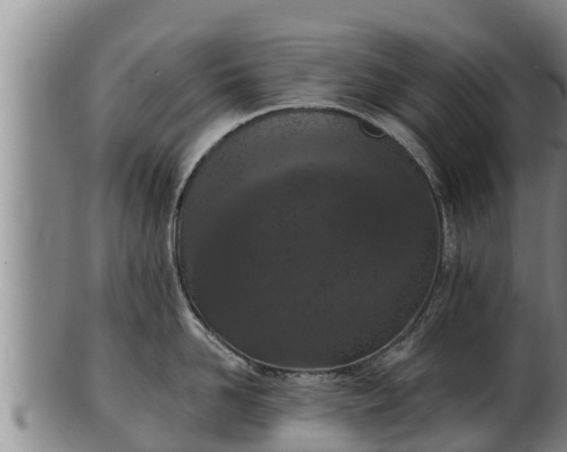 X0000103230958200809041022