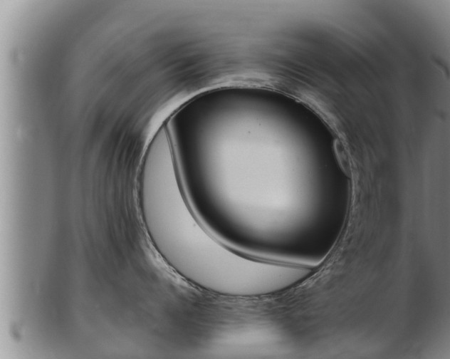 X0000103230960200809041022