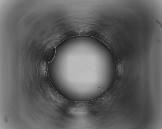 X0000103230963200809041021
