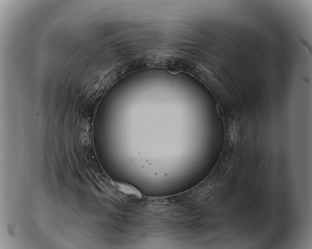 X0000103230964200809041021