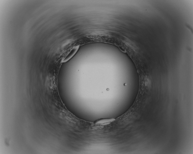 X0000103230965200809041021