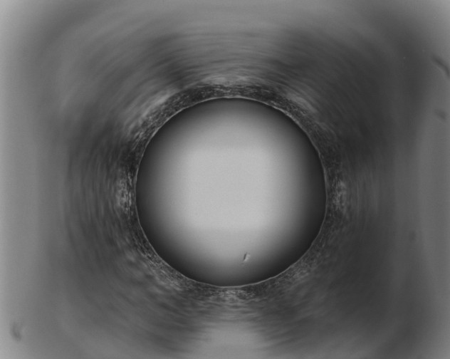 X0000103230966200809041021