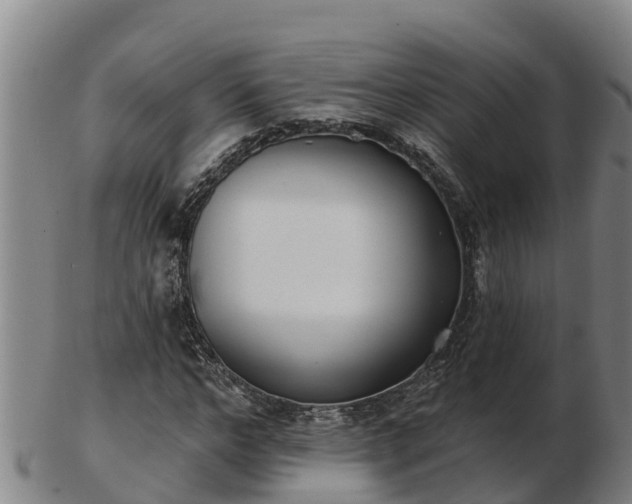 X0000103230968200809041021
