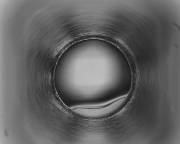 X0000103230969200809041021