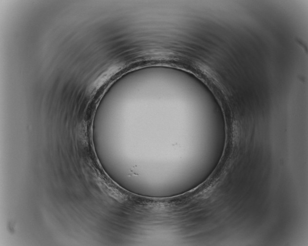 X0000103230970200809041021