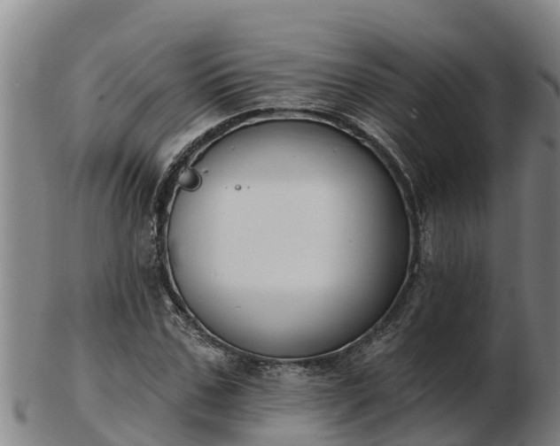 X0000103230971200809041021