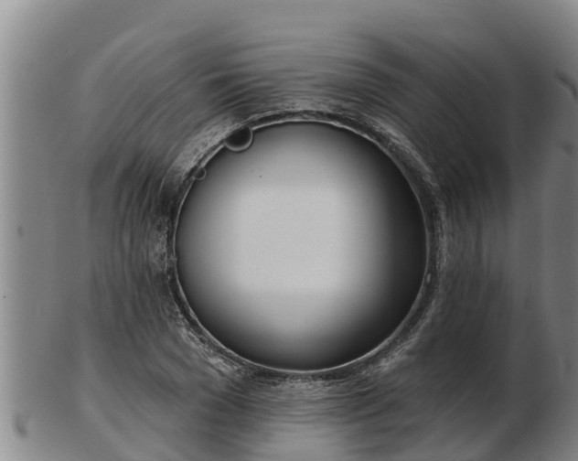 X0000103230977200809041021