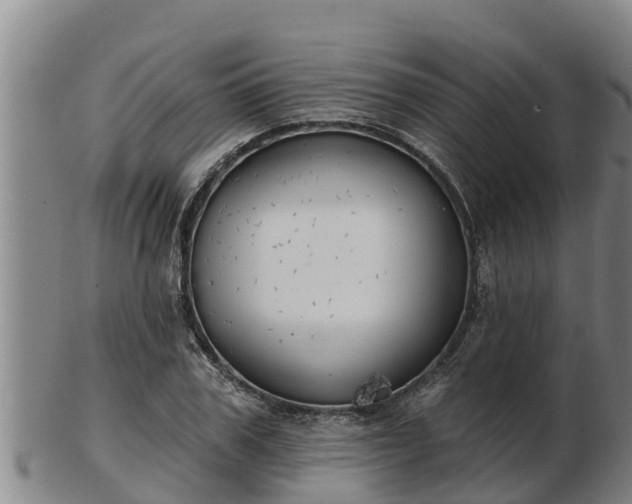 X0000103230979200809041021