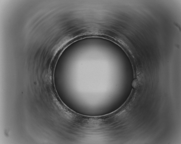 X0000103230981200809041021