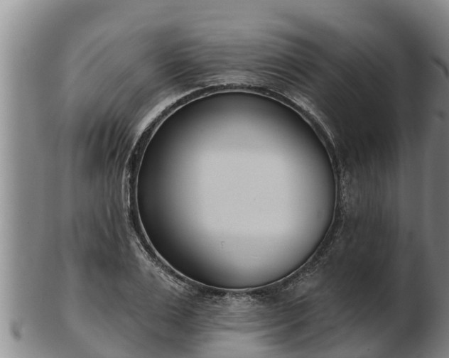 X0000103230983200809041021