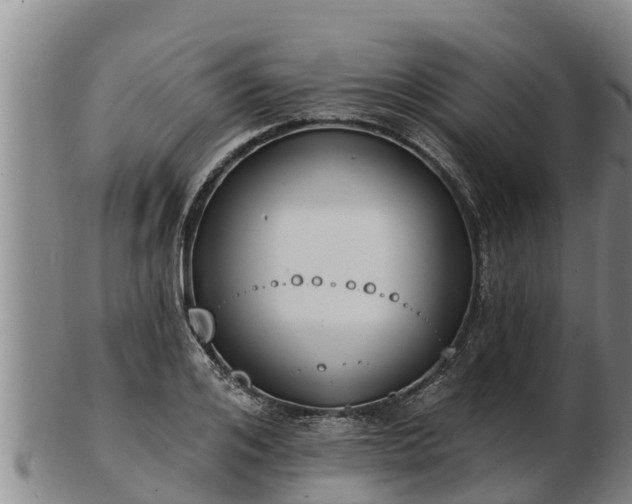 X0000103230984200809041021