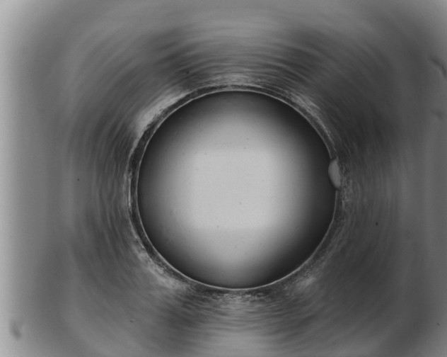 X0000103230987200809041021