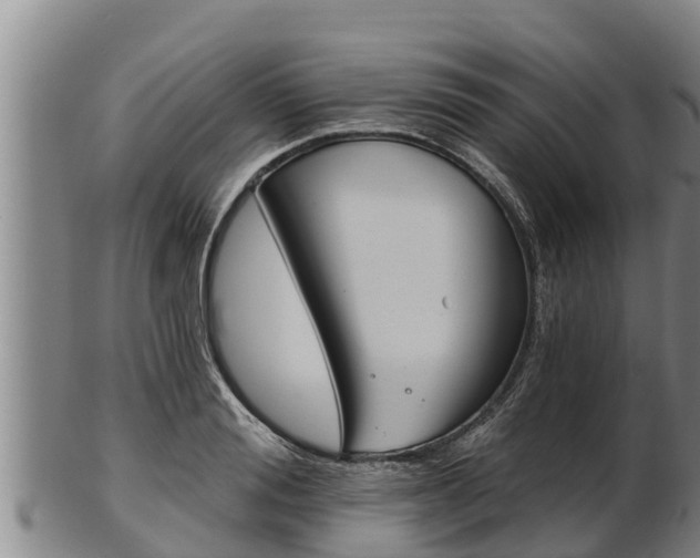 X0000103230988200809041021