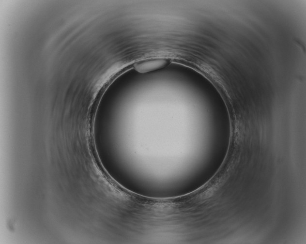 X0000103230989200809041021