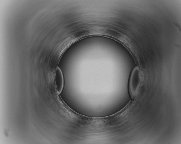 X0000103230993200809041021