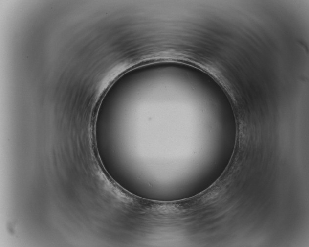 X0000103230998200809041021