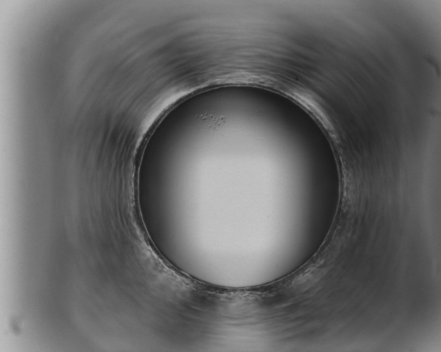 X0000103231000200809041021