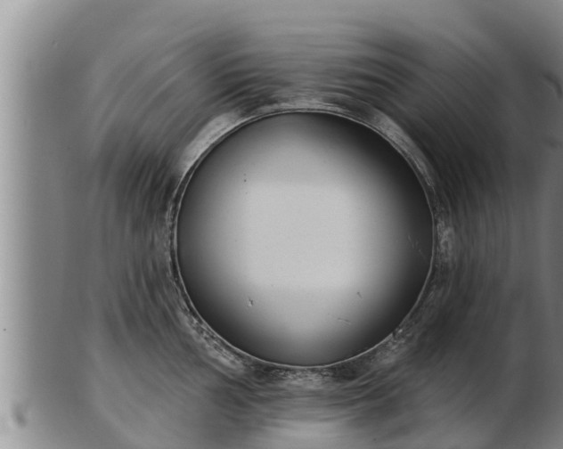 X0000103231002200809041021