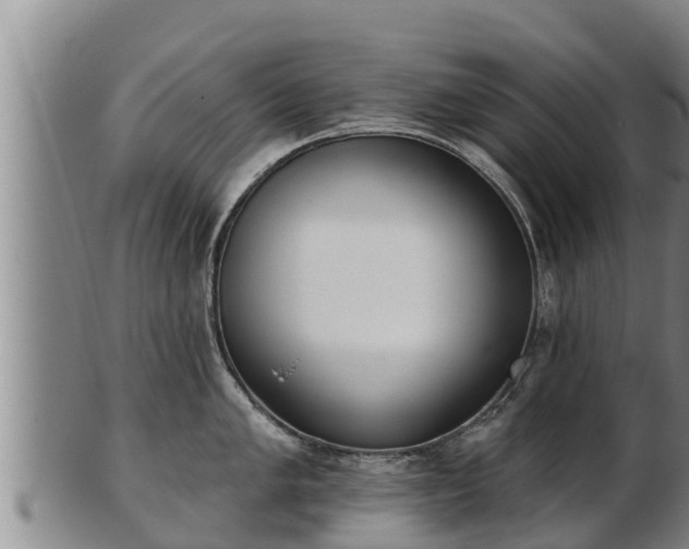X0000103231005200809041021