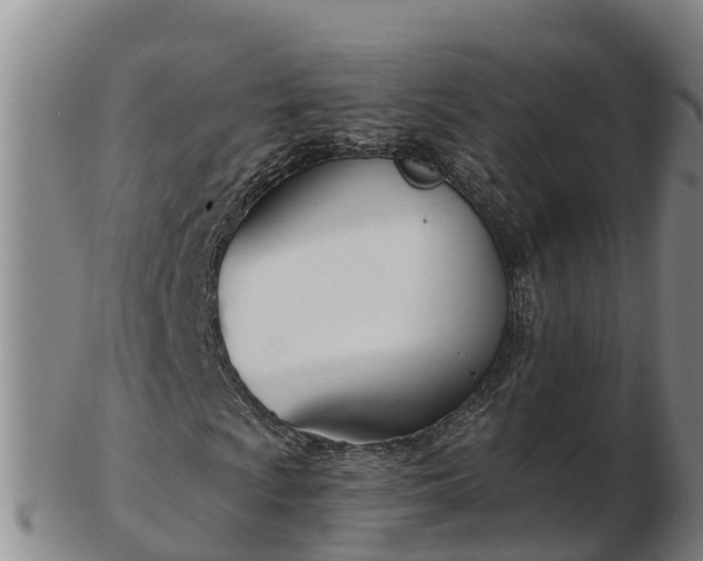 X0000103231009200809041020