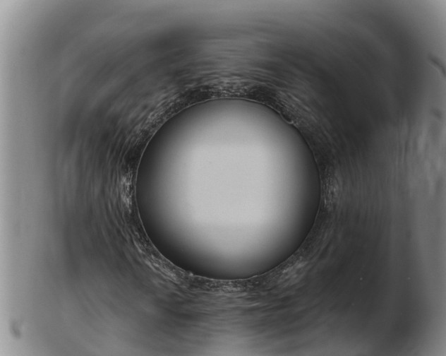X0000103231010200809041020