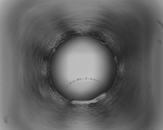 X0000103231012200809041020