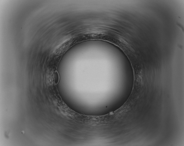 X0000103231014200809041020