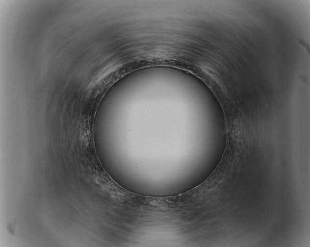 X0000103231015200809041020