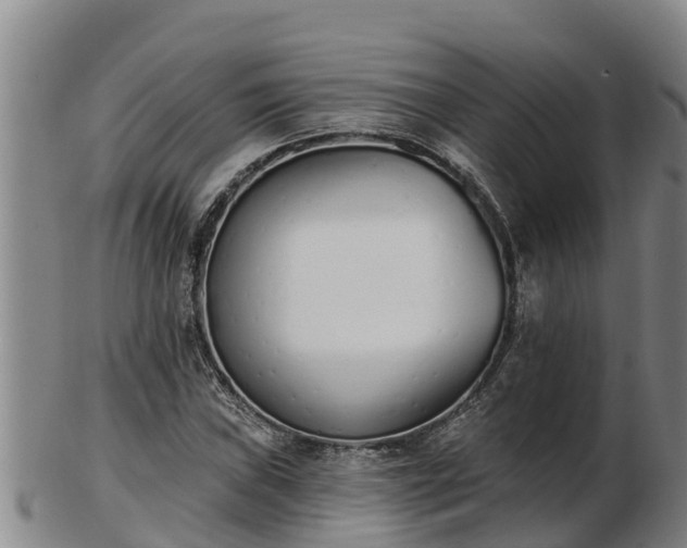 X0000103231019200809041020