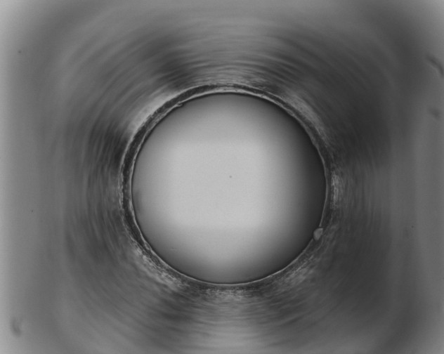 X0000103231020200809041020