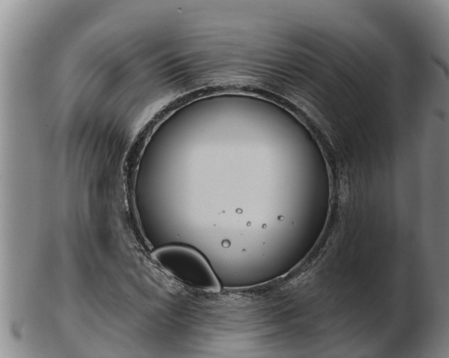 X0000103231022200809041020