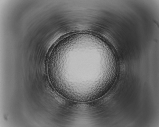 X0000103231023200809041020