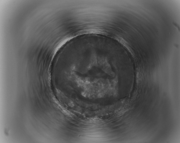 X0000103231024200809041020