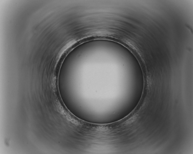 X0000103231029200809041020