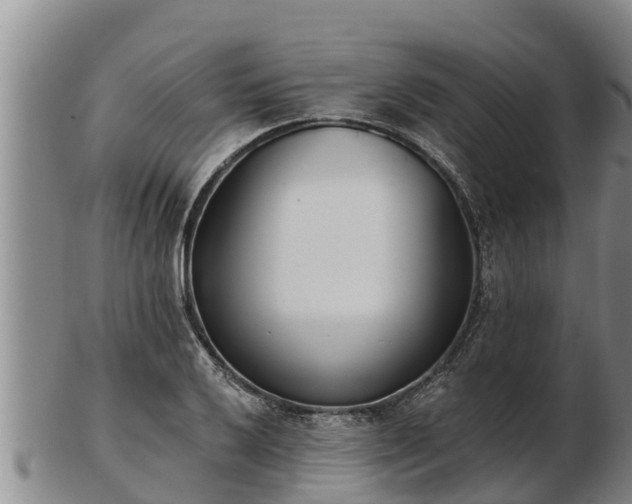X0000103231032200809041020
