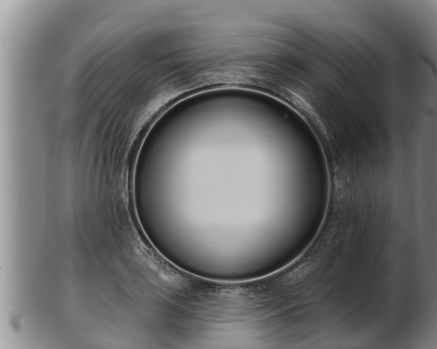 X0000103231035200809041020