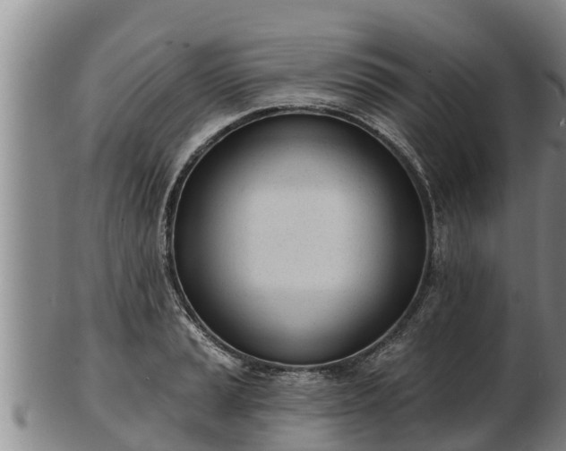 X0000103231037200809041020