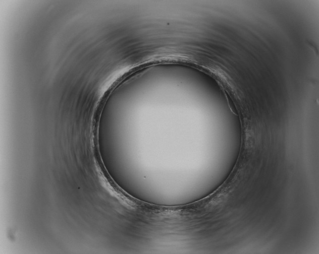 X0000103231038200809041020