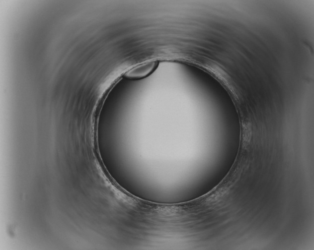X0000103231046200809041020