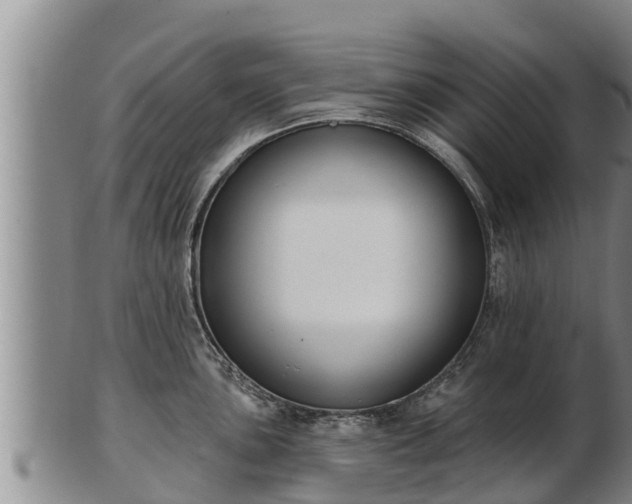 X0000103231051200809041020