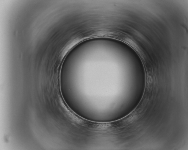 X0000103231055200809041021