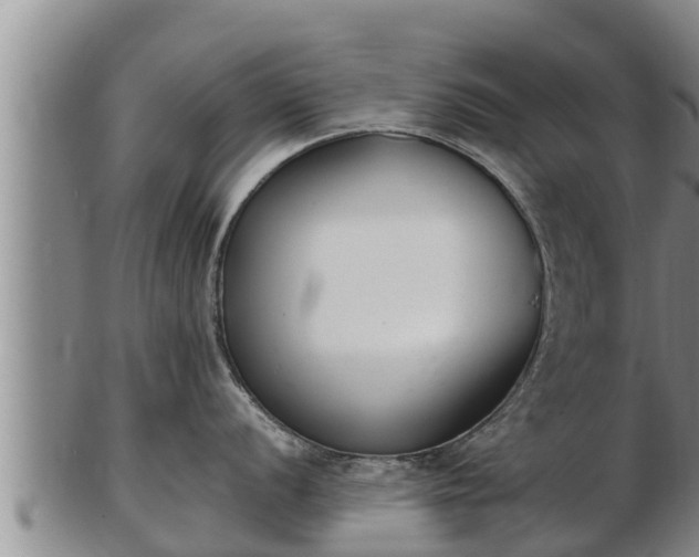 X0000103231056200809041021