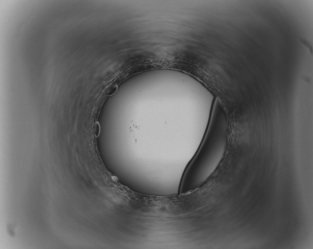 X0000103231057200809041020
