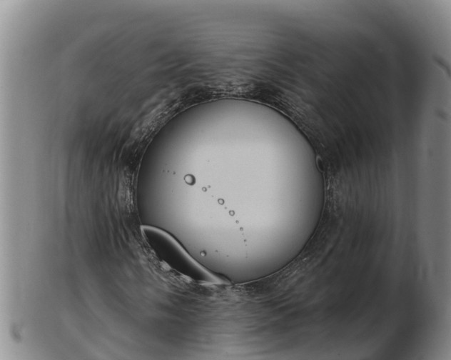 X0000103231058200809041020