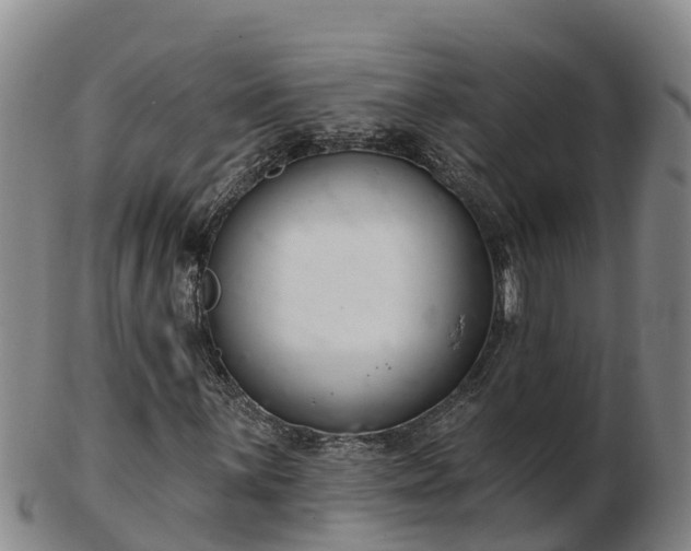 X0000103231059200809041020