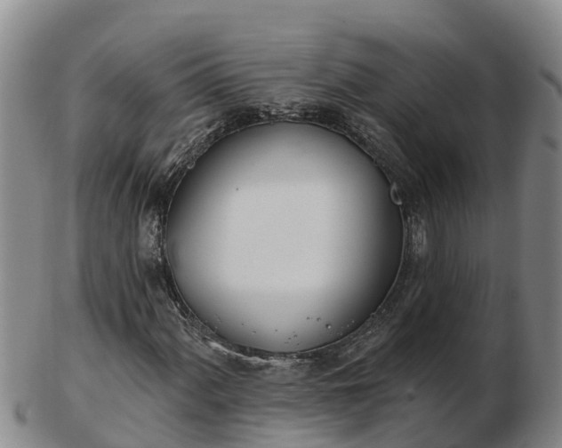 X0000103231060200809041020