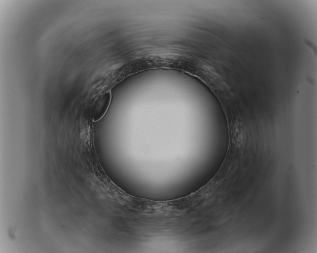 X0000103231061200809041020
