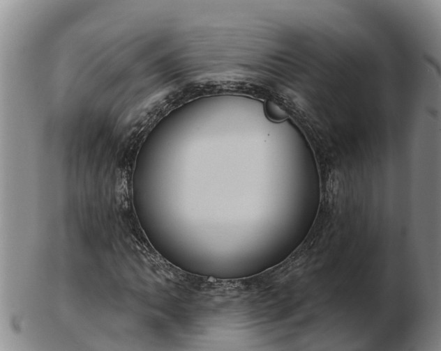 X0000103231062200809041020
